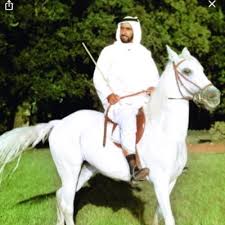 صورة عرض الكم